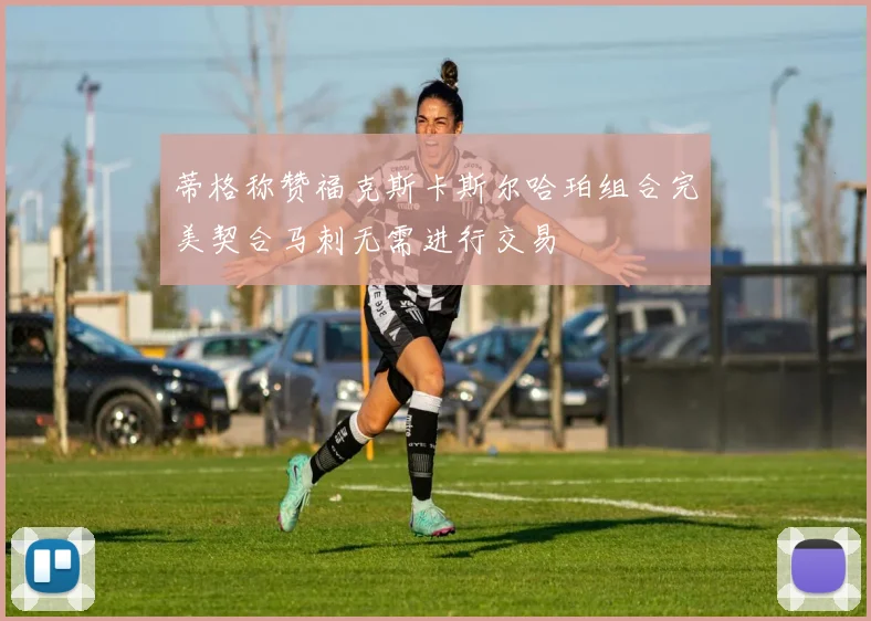 蒂格称赞福克斯卡斯尔哈珀组合完美契合马刺无需进行交易