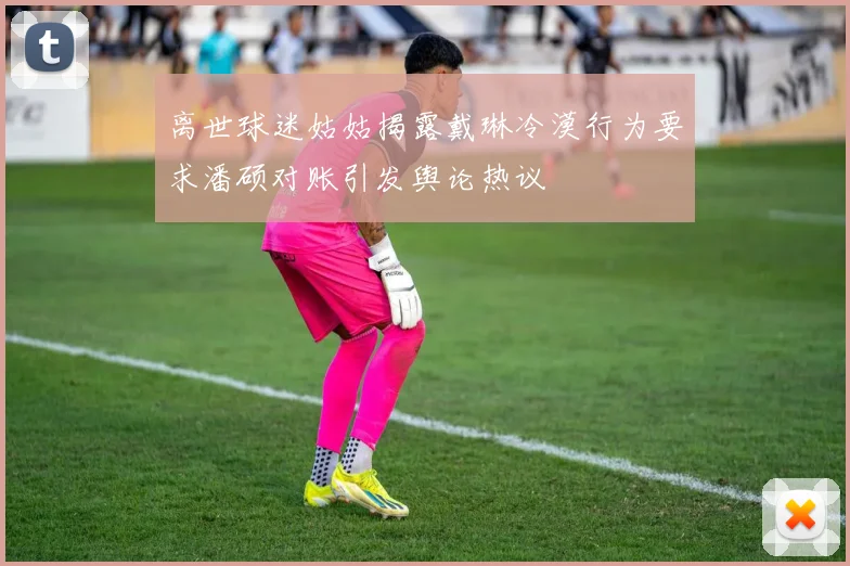 离世球迷姑姑揭露戴琳冷漠行为要求潘硕对账引发舆论热议